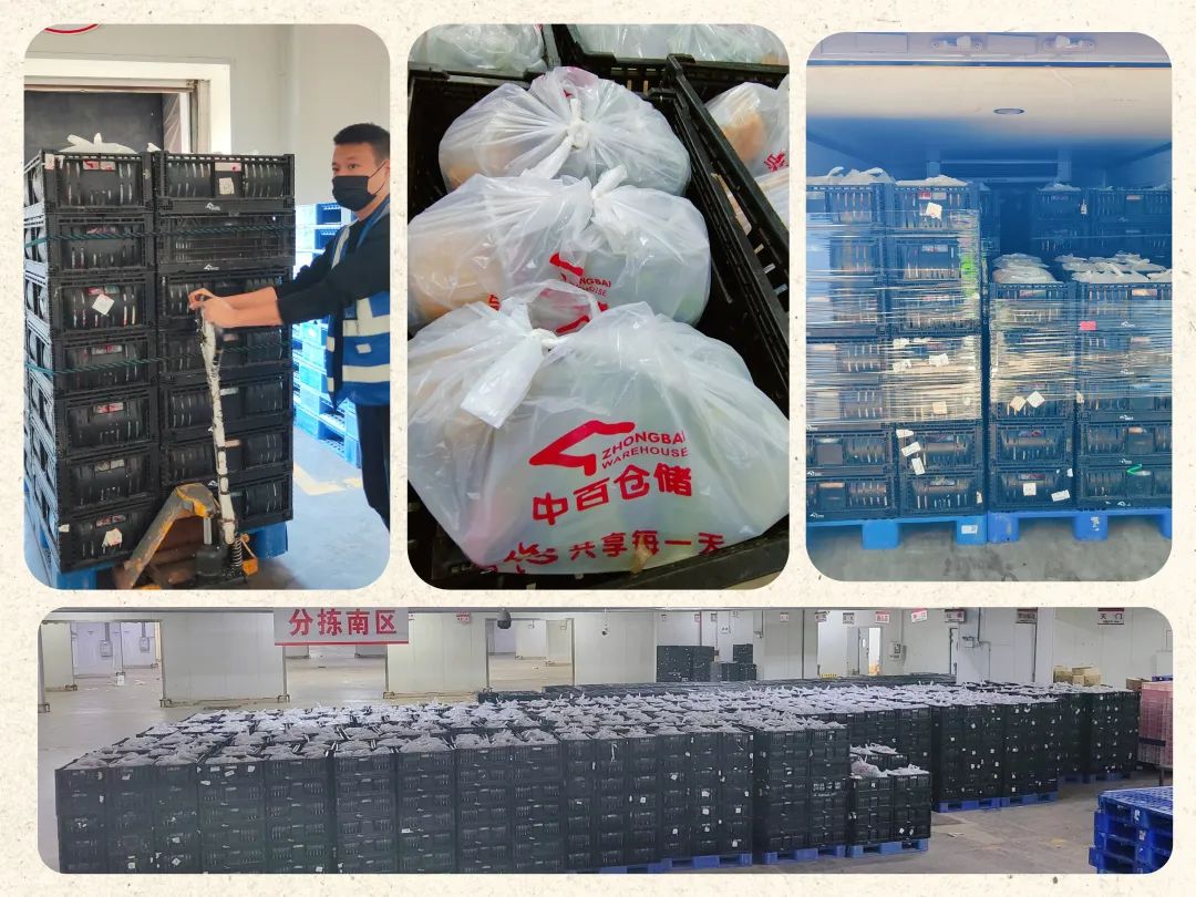 伟易博(中国区)官方网站