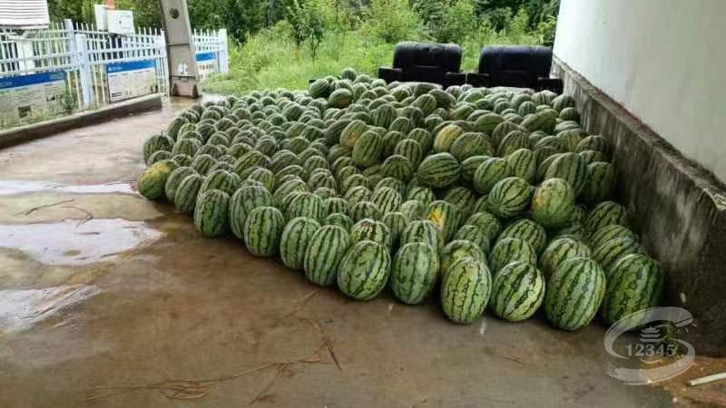 c823226a1fcb906ffd876ead22b0e841