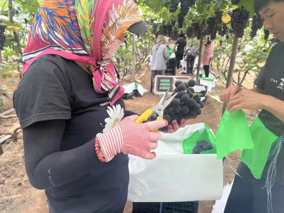 伟易博(中国区)官方网站