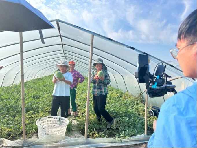 伟易博(中国区)官方网站