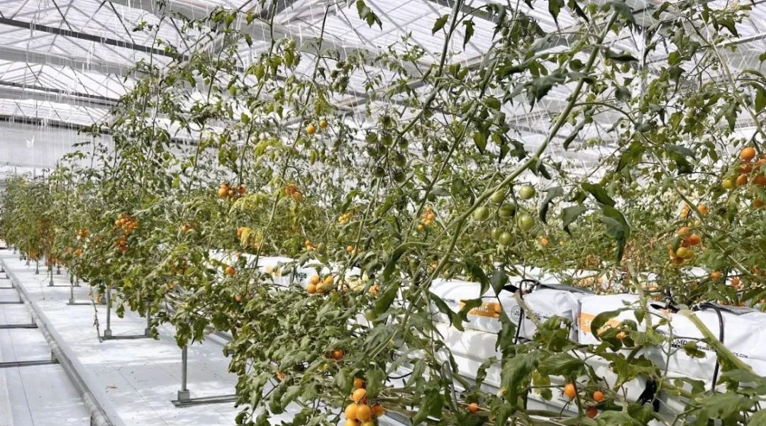 伟易博(中国区)官方网站