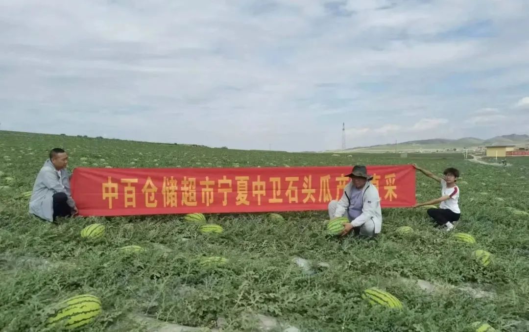 伟易博(中国区)官方网站