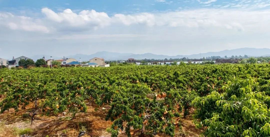 伟易博(中国区)官方网站