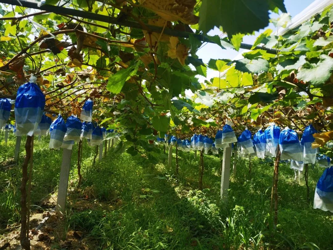 伟易博(中国区)官方网站